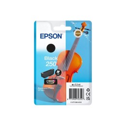 Epson 250 Preto Tinteiro Original - C13T16N14010
