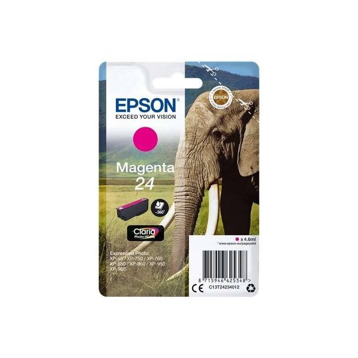 Epson T2423 (24) Magenta Tinteiro Original - C13T24234012