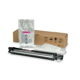 HP Unidade de Revelado Magenta Original - 8JM73A